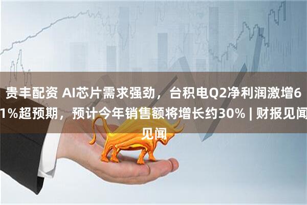 贵丰配资 AI芯片需求强劲，台积电Q2净利润激增61%超预期，预计今年销售额将增长约30% | 财报见闻