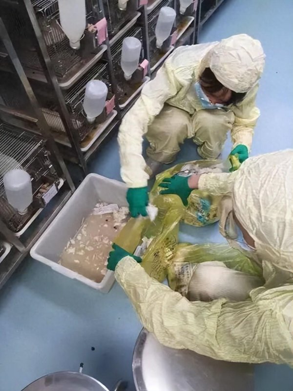 启云科技 博士四年级选择休学，她在探索“100种新生活”